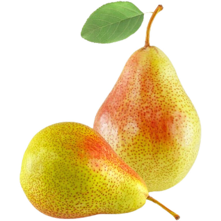 Pear (south africa) :